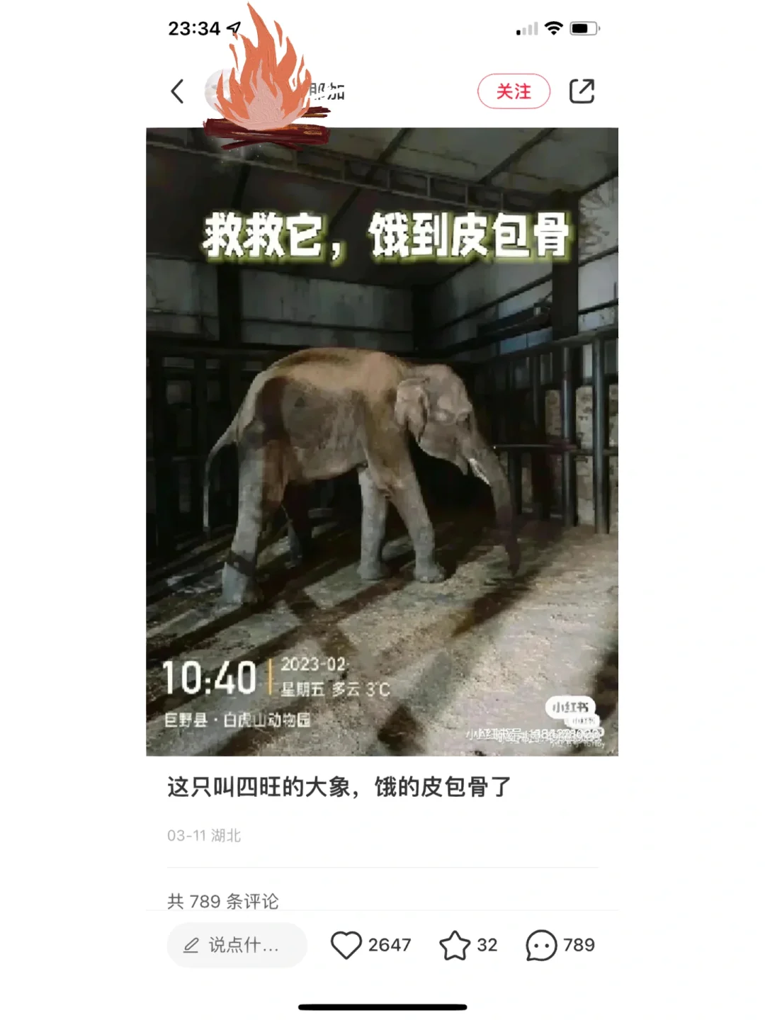 亚美体育网址-包含威姆斯社媒分享日常：好久没回孟菲斯了，中国比孟菲斯安全的词条